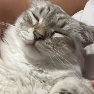 Meet your Posher, Diana